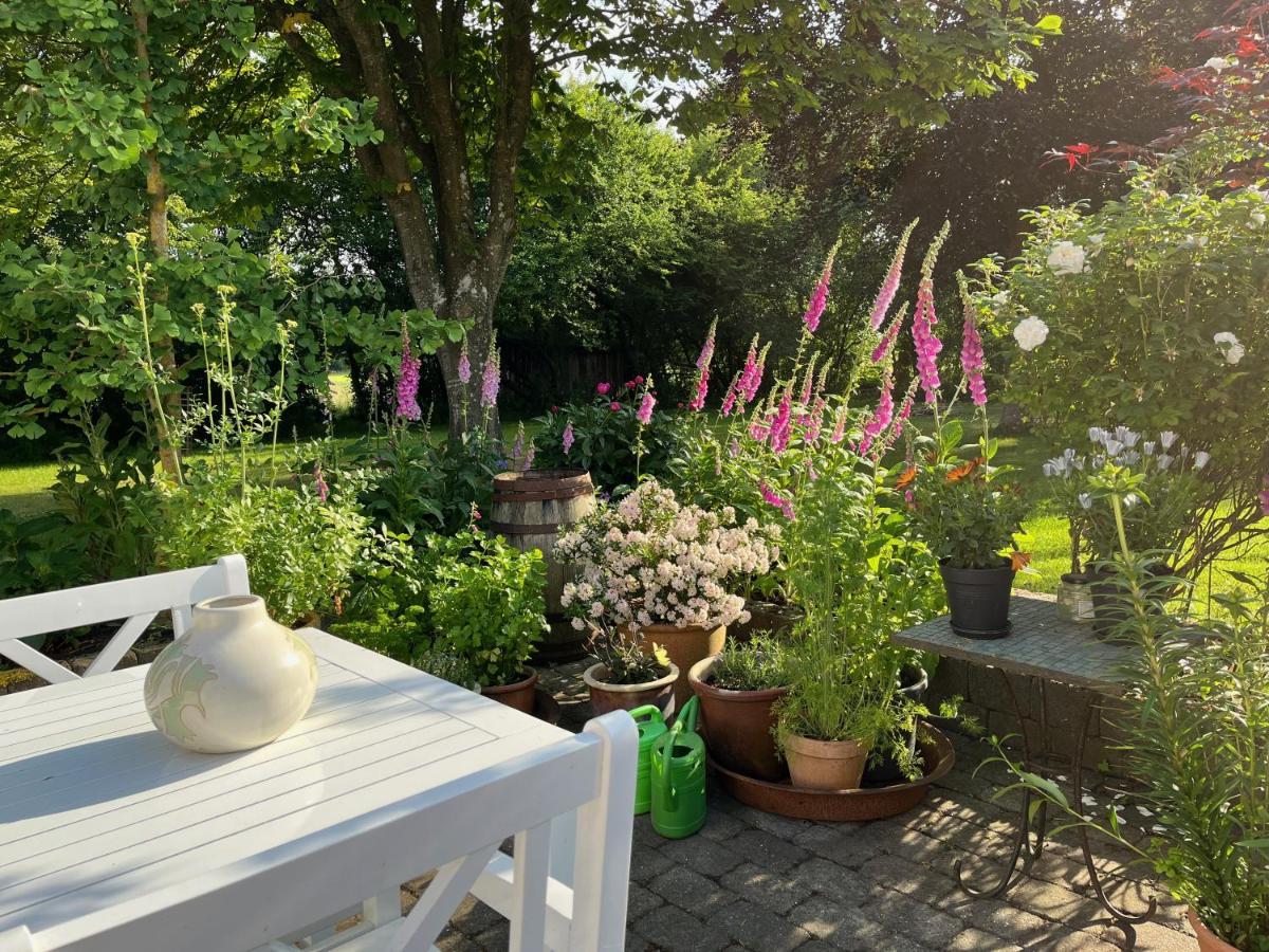 Fuglsang Bed & Breakfast Hjørring Dış mekan fotoğraf