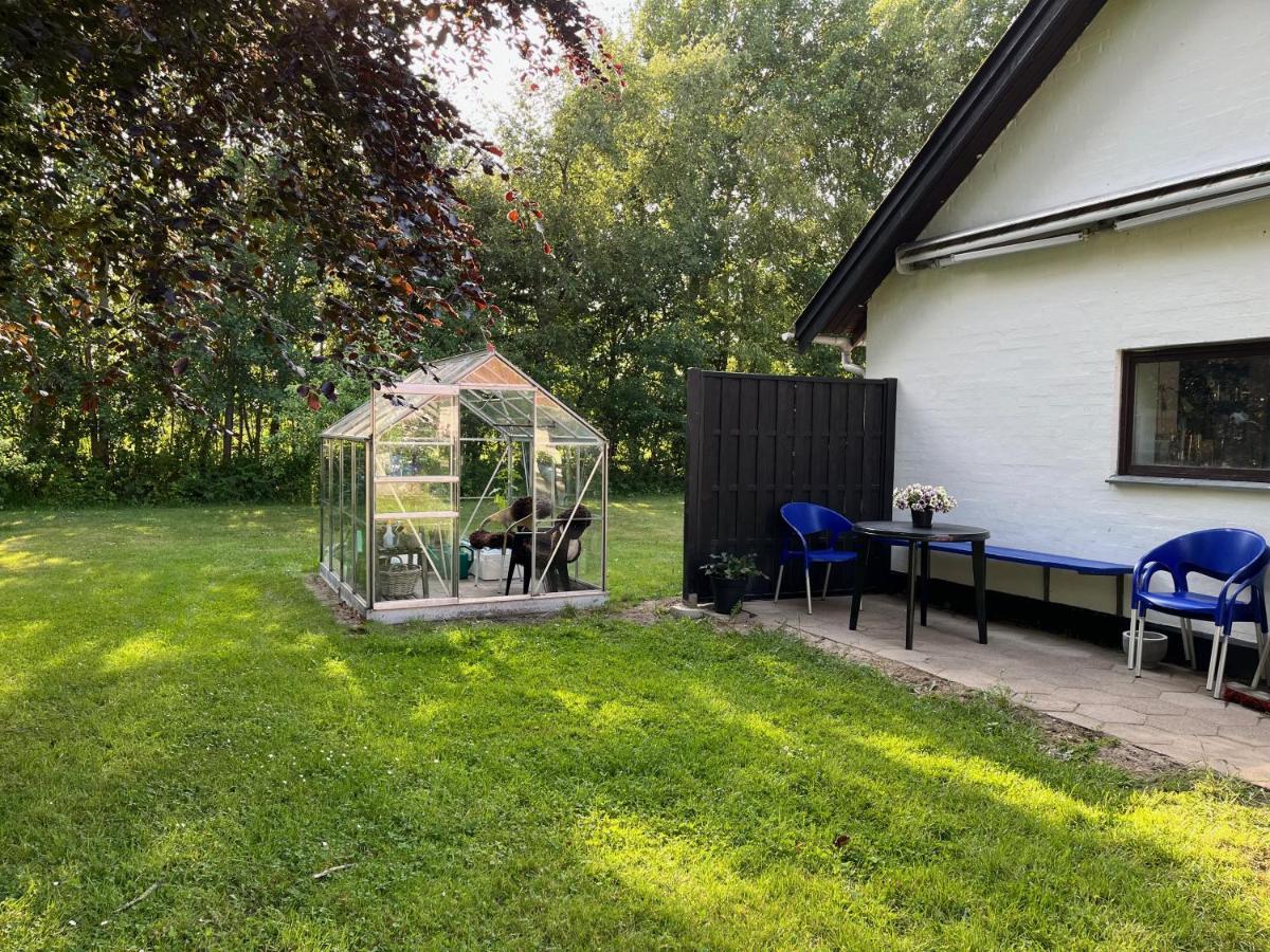 Fuglsang Bed & Breakfast Hjørring Dış mekan fotoğraf