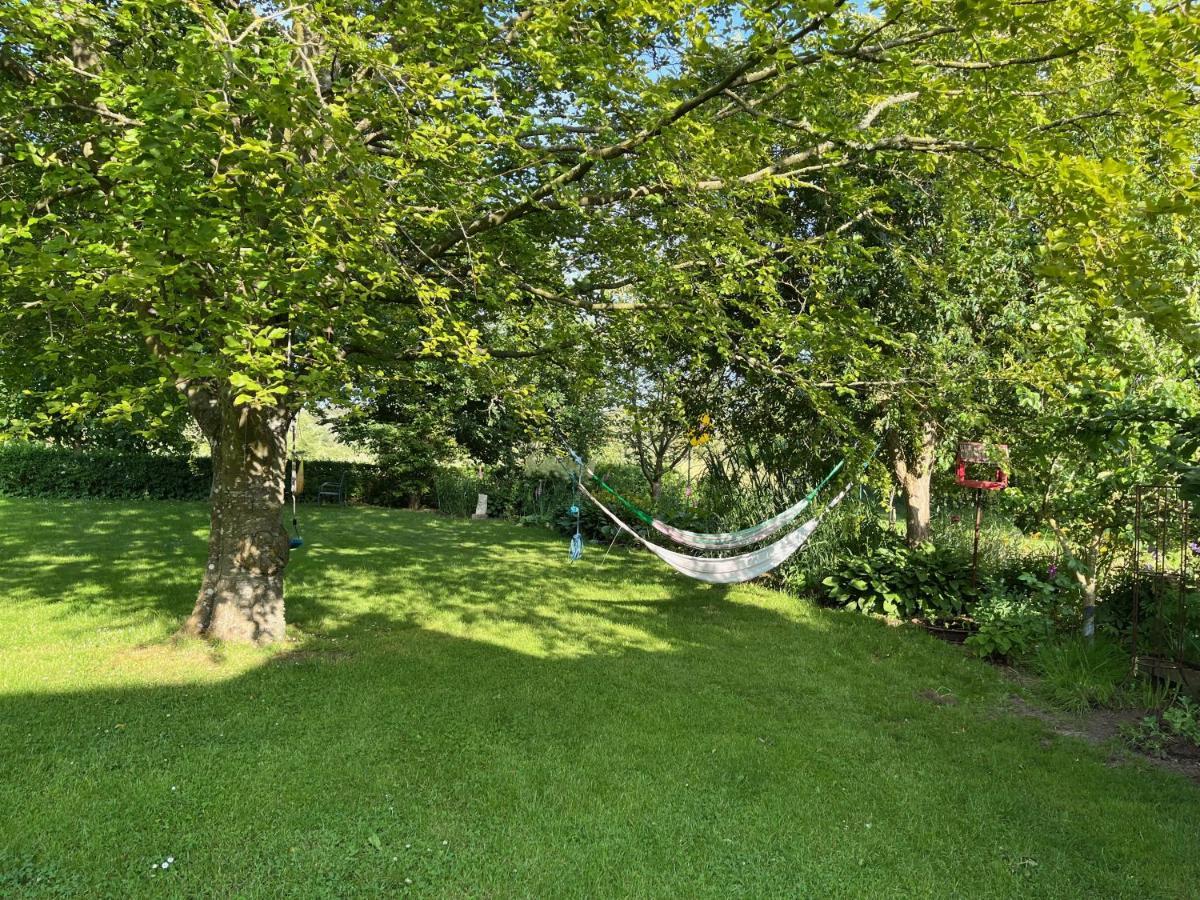 Fuglsang Bed & Breakfast Hjørring Dış mekan fotoğraf