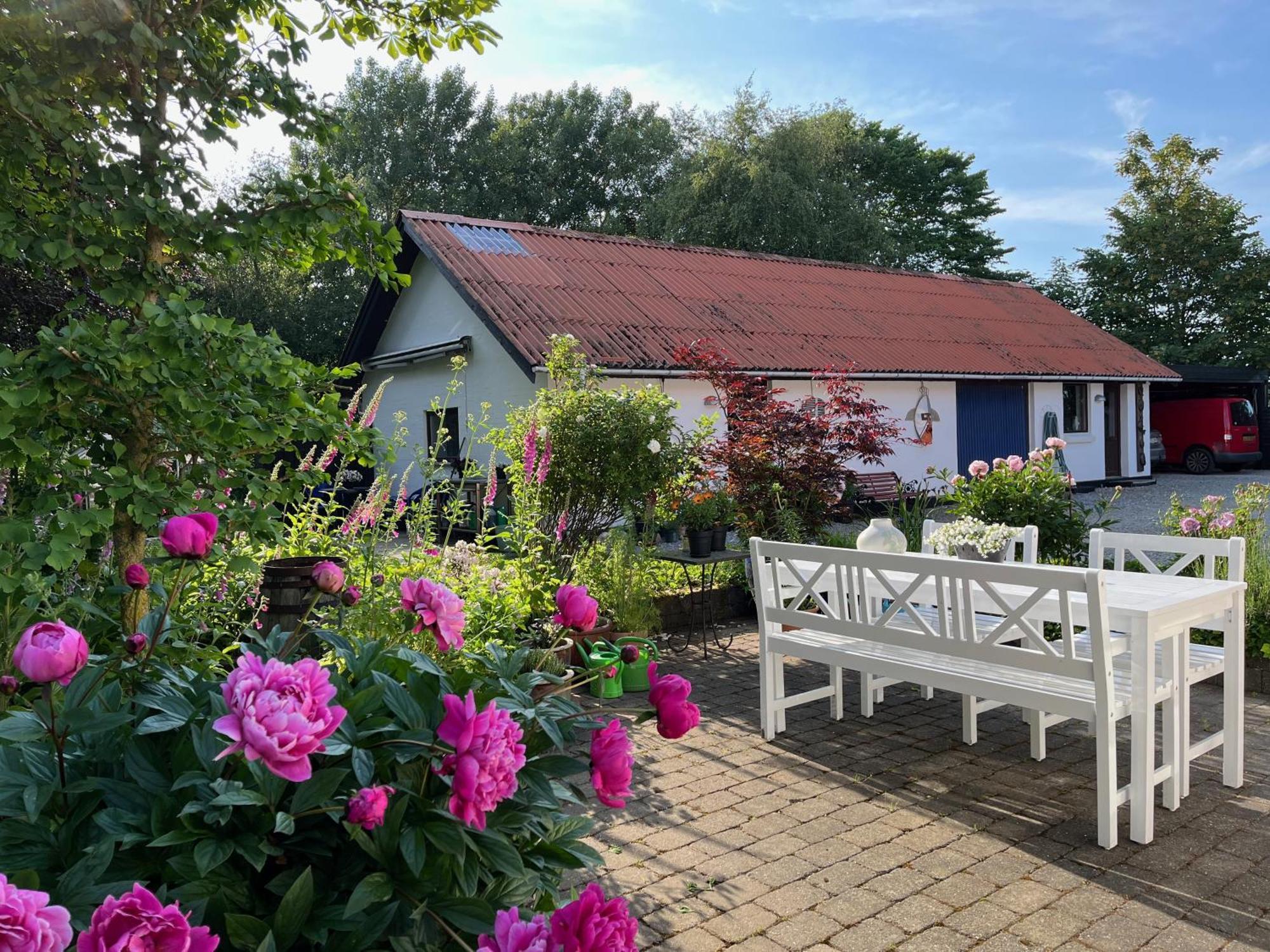 Fuglsang Bed & Breakfast Hjørring Dış mekan fotoğraf